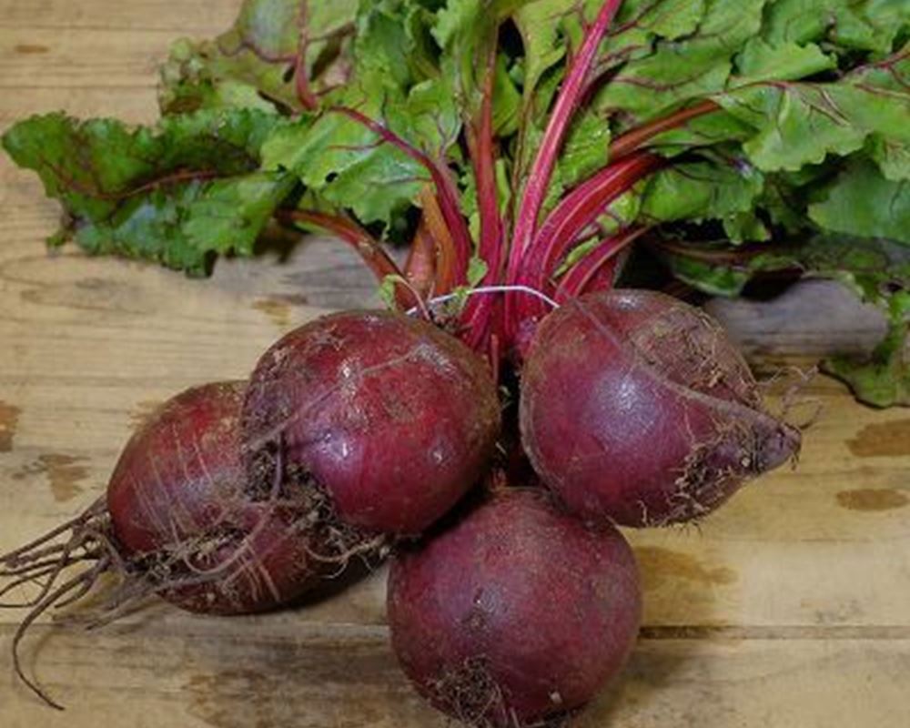 Beetroot - Bunch