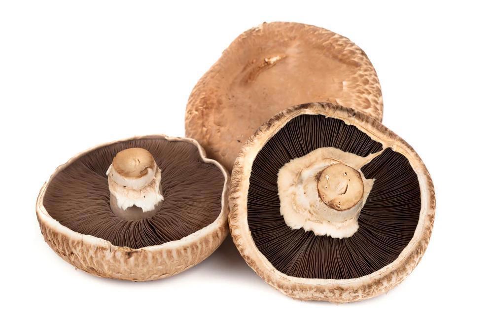 Mushroom (Portabello) - Organic