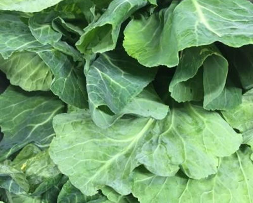 Spring Greens - Organic