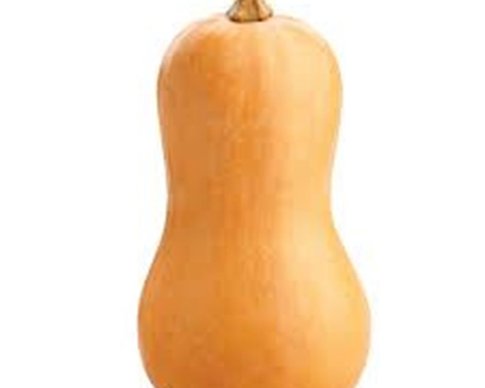 Butternut Squash EKG