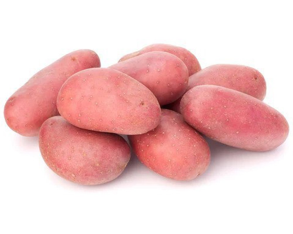 Potato: Pontiac