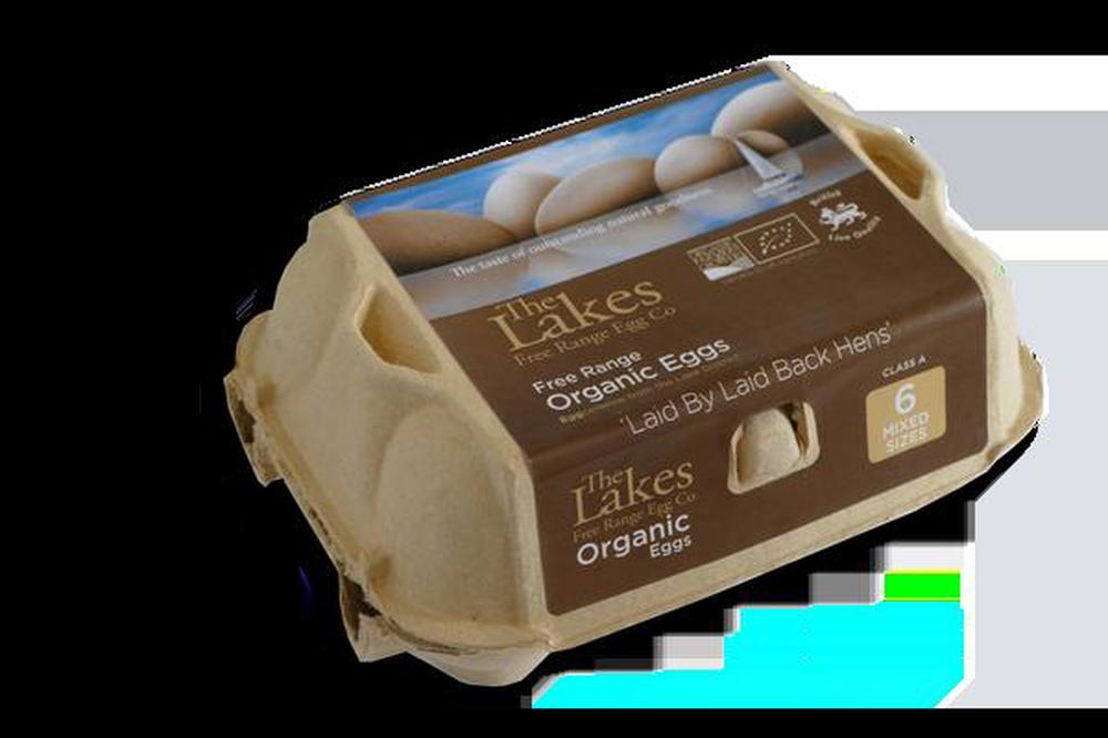 Eggs - 12 Medium Organic