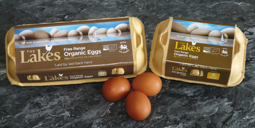 Eggs - 12 Medium Organic