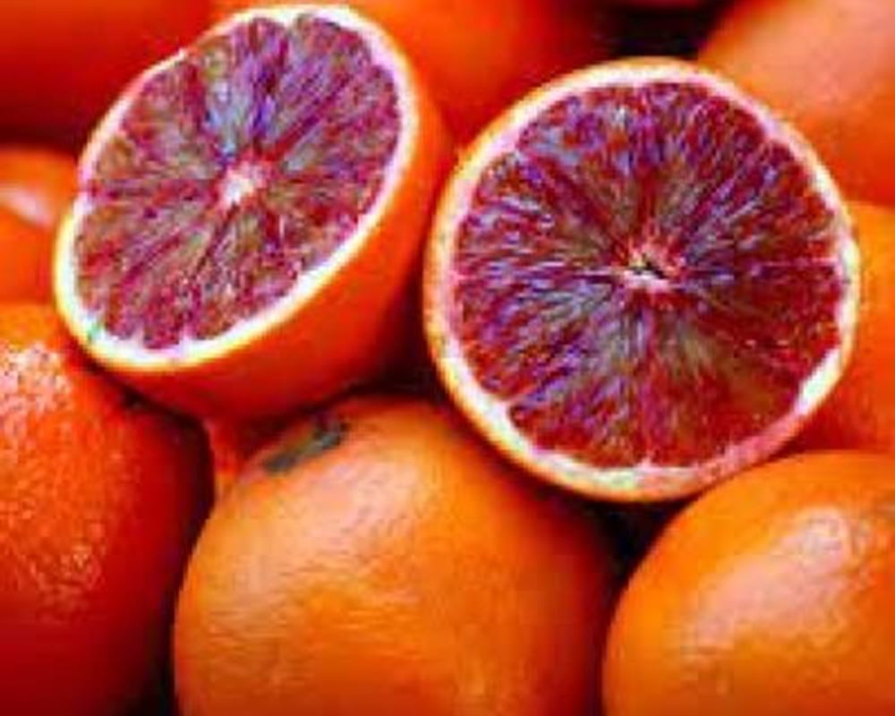 Blood Oranges 600g