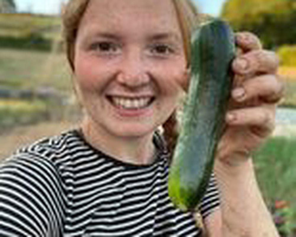 Courgette