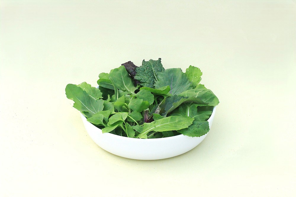 Salad Leaves (Our Farm)