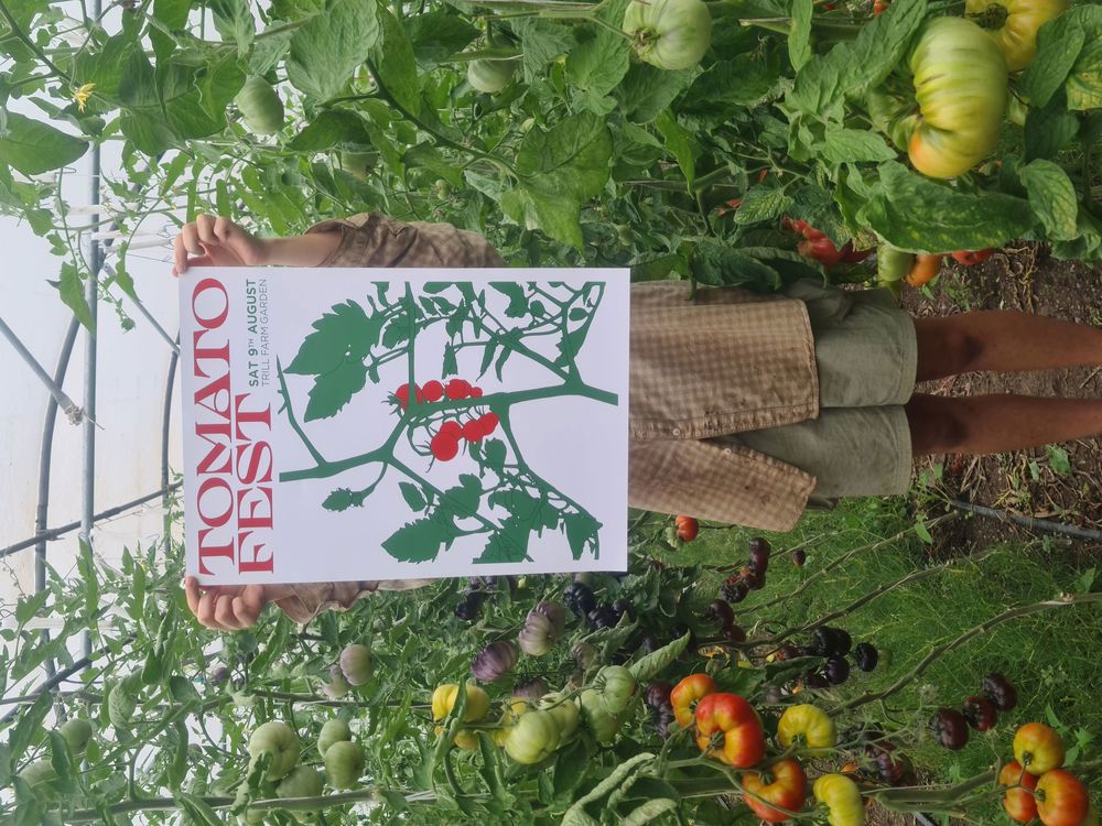 Tomato Fest poster