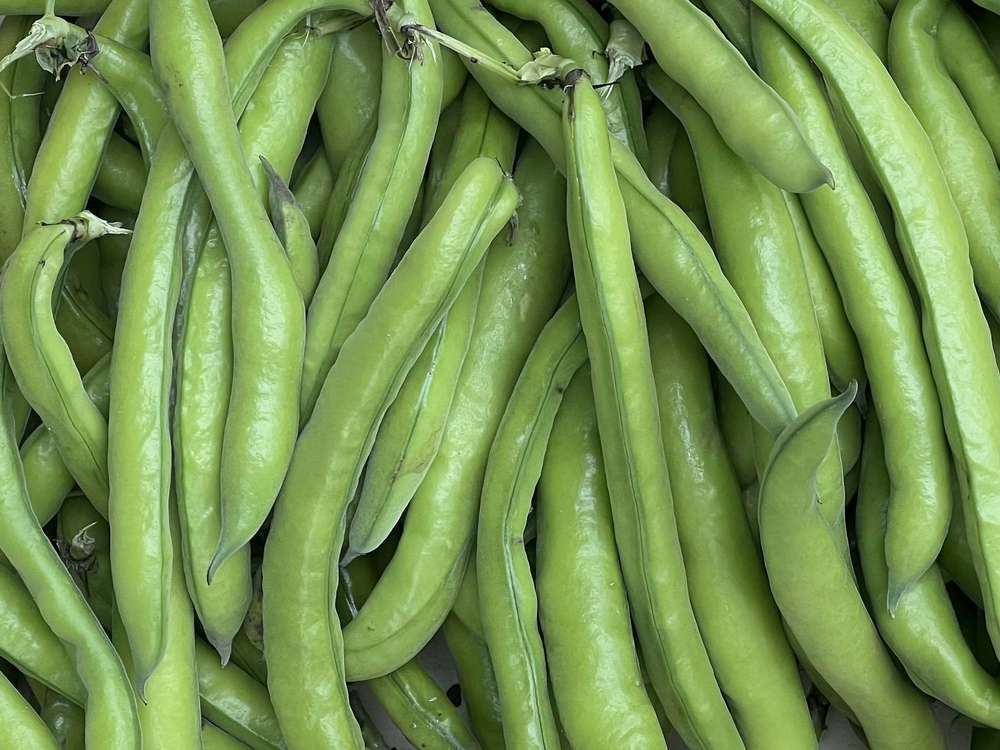 Organic Broad Beans (750g)