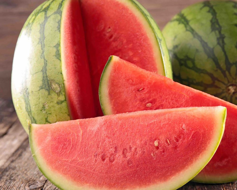 Melon Watermelon (mini)
