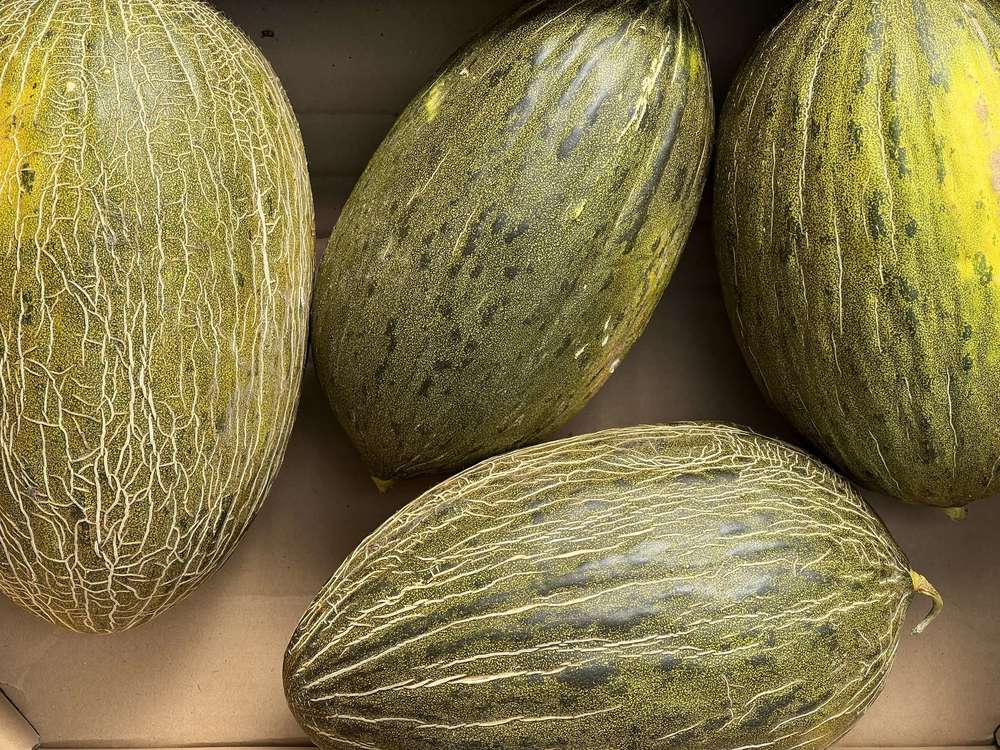 Melon Piel de Sapo