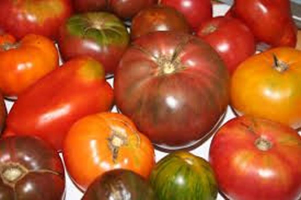 Tomatoes Heritage (Own Grown) 200g