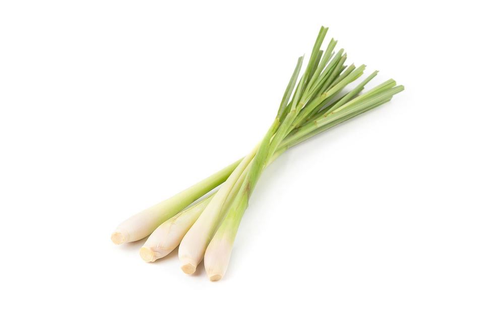 Herbs: Lemongrass (BUNCH)