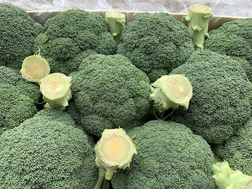 Brocolli