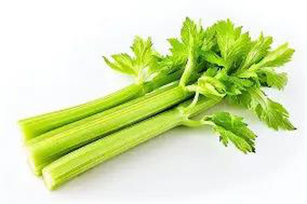 Celery ES