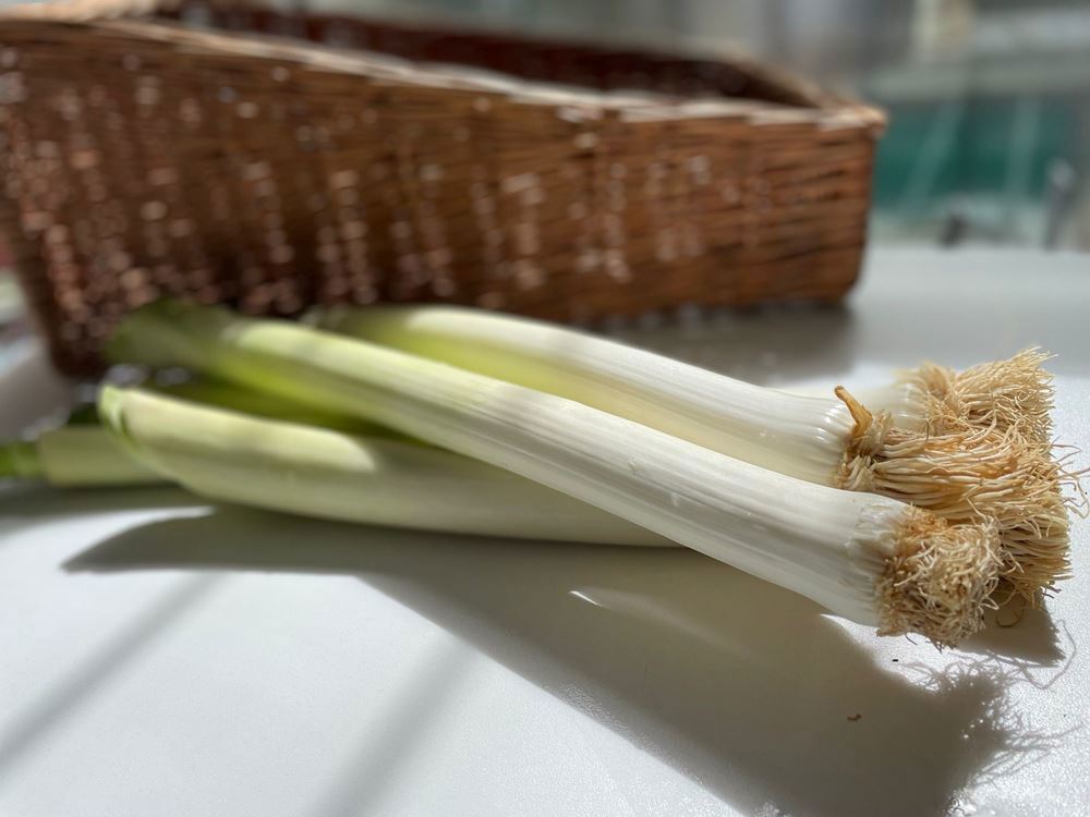 Leek