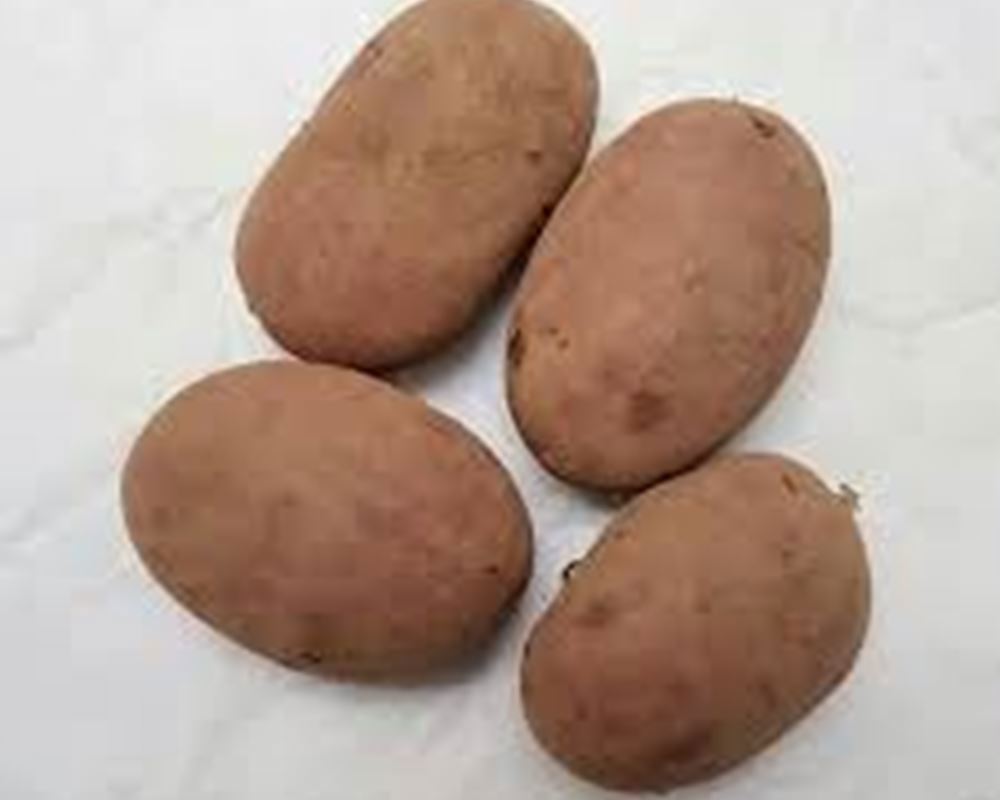 Potatoes-Organic