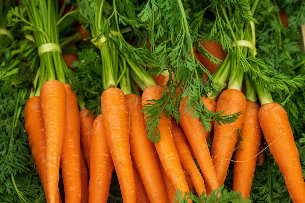 Organic Bunched Carrots