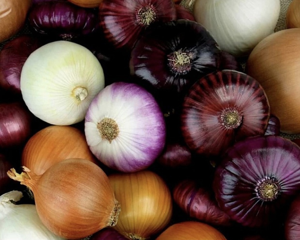 Onions - Mixed Brown & Red
