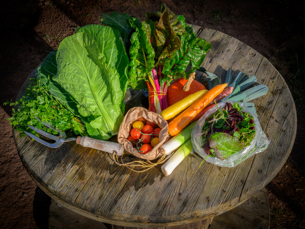 Medium Veg Box (Discounted)