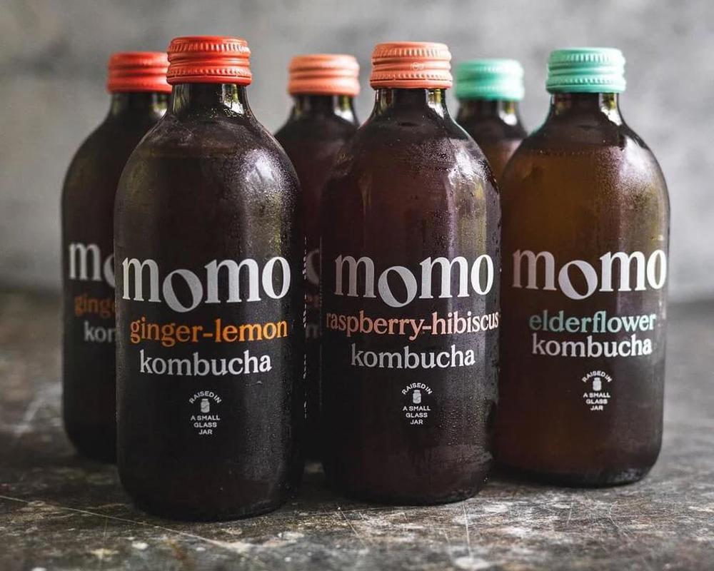 Organic Kombucha combo pack
