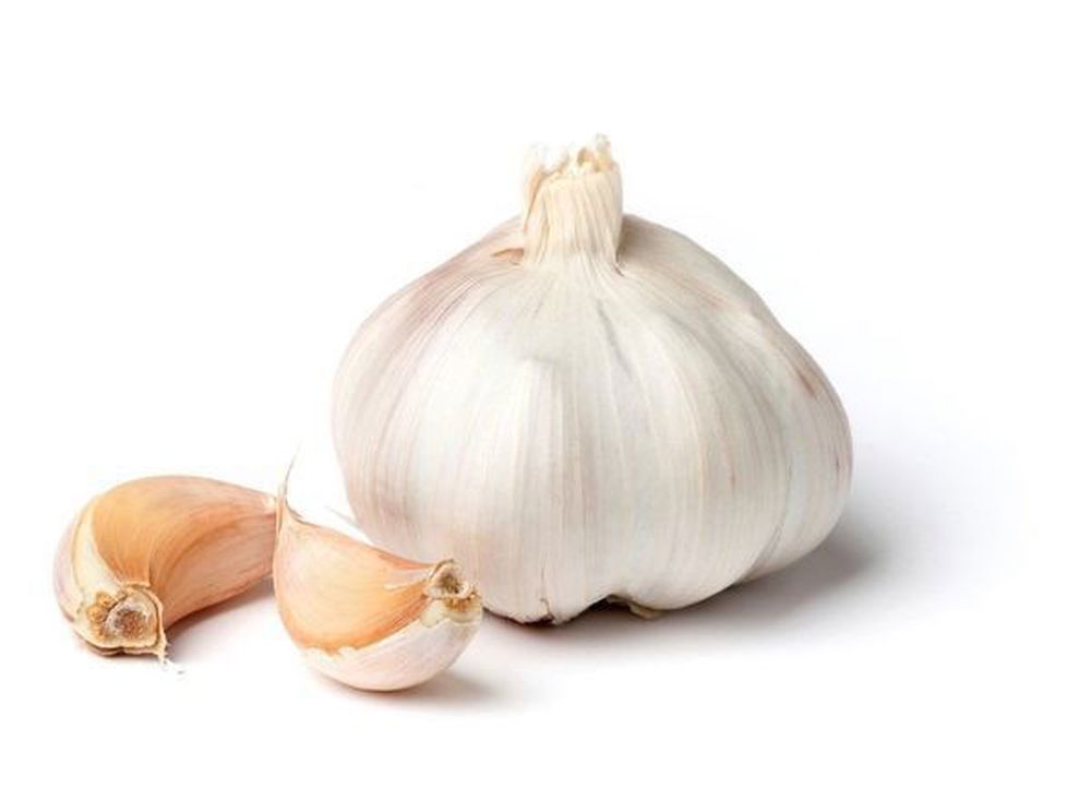 Garlic: Russian