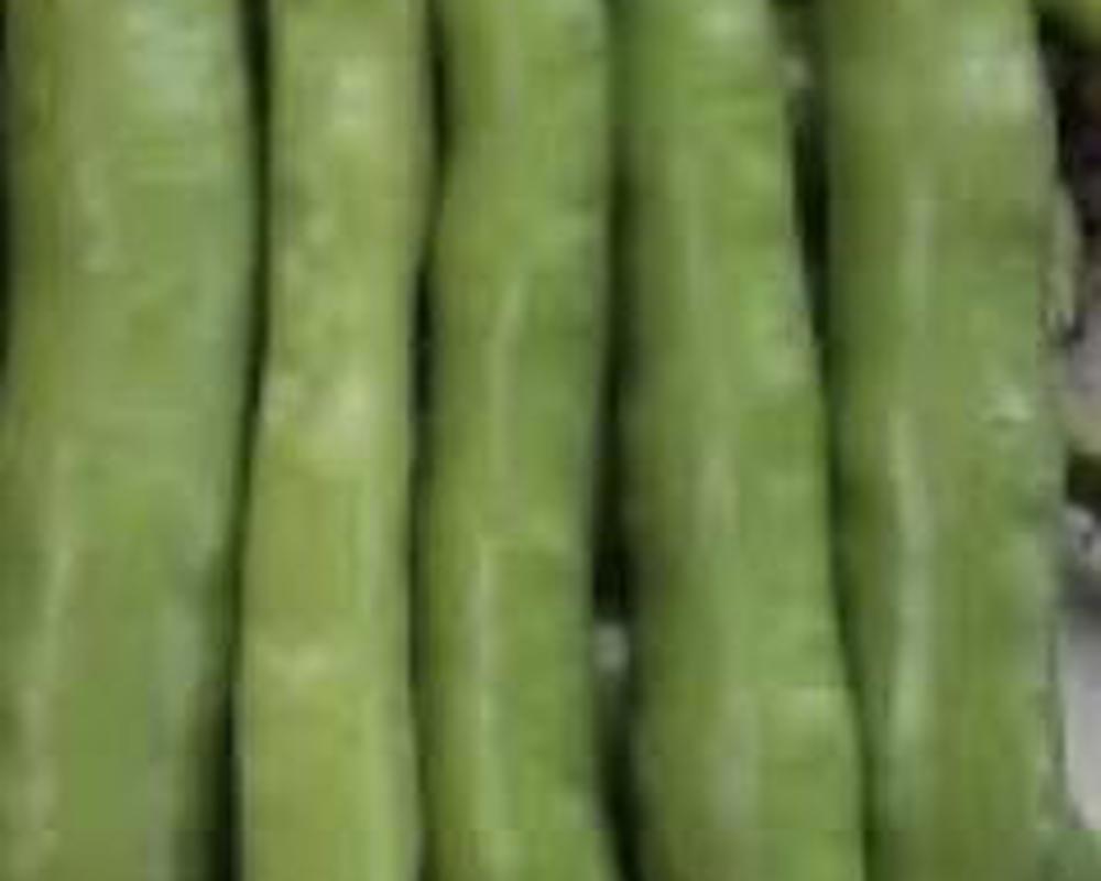 Broad Beans 🇬🇧