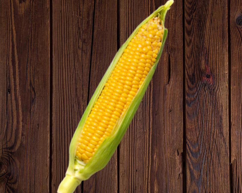 Organic Sweetcorn on the Cob