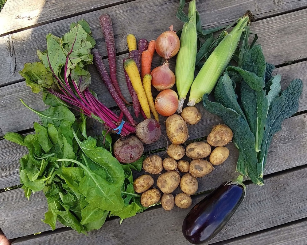 Veg Box - Large