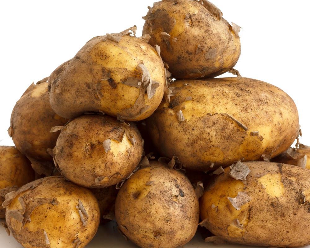 New Potatoes