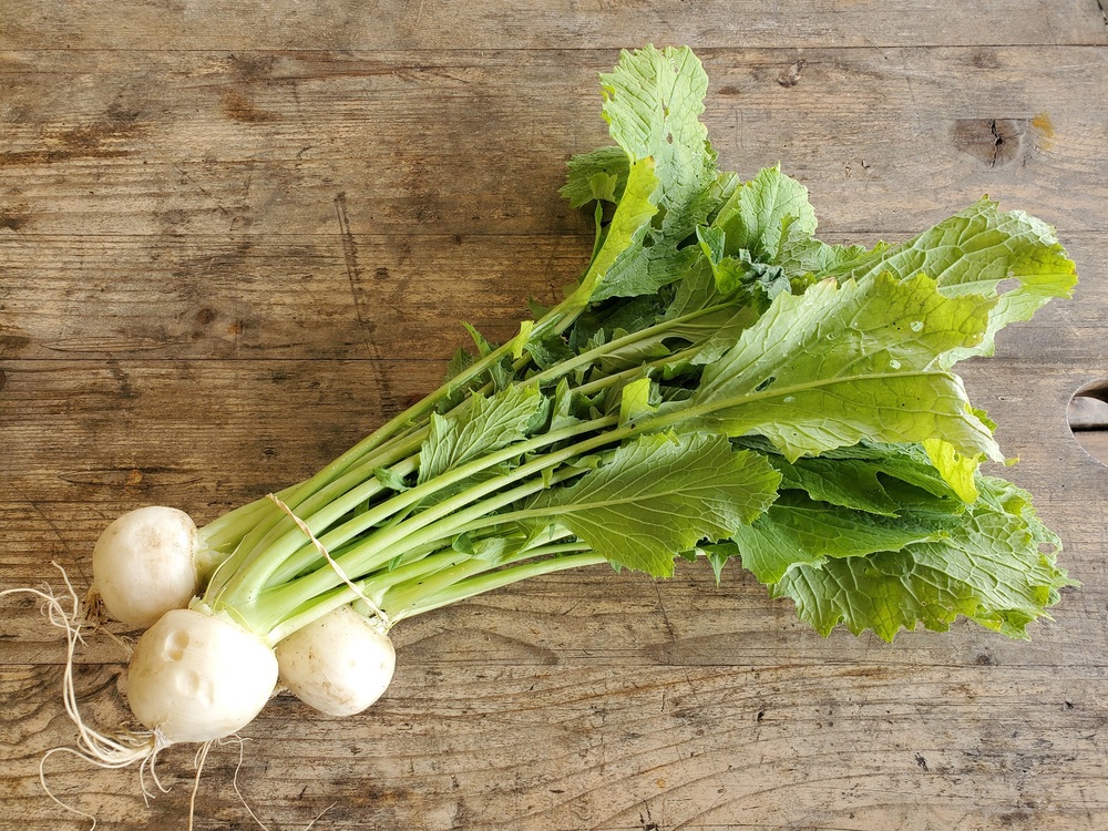Salad turnips