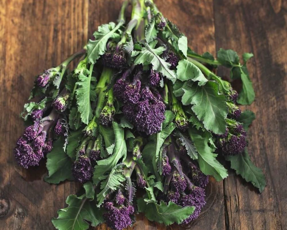 Purple Sprouting Broccoli (PSB)