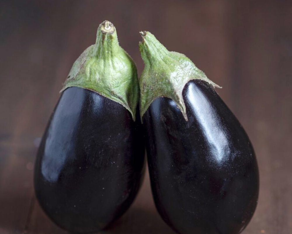 Aubergine