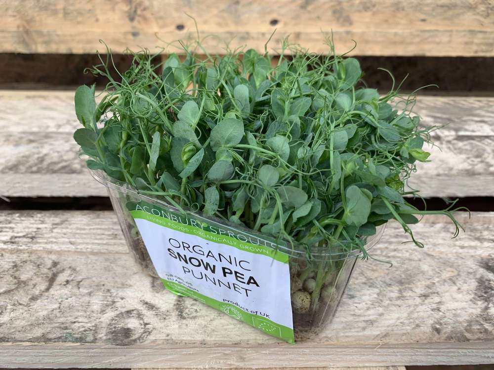 Microgreens - Snow Pea Shoots (Herefordshire, UK)