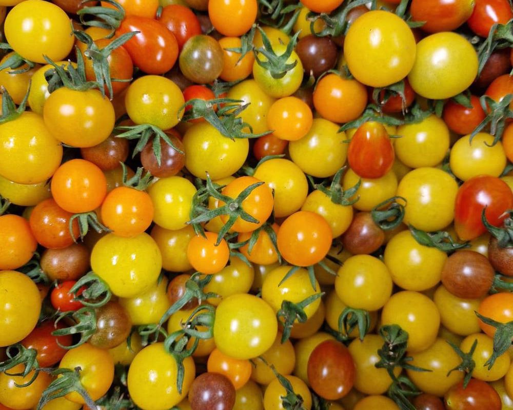 500g Local Cherry Tomatoes