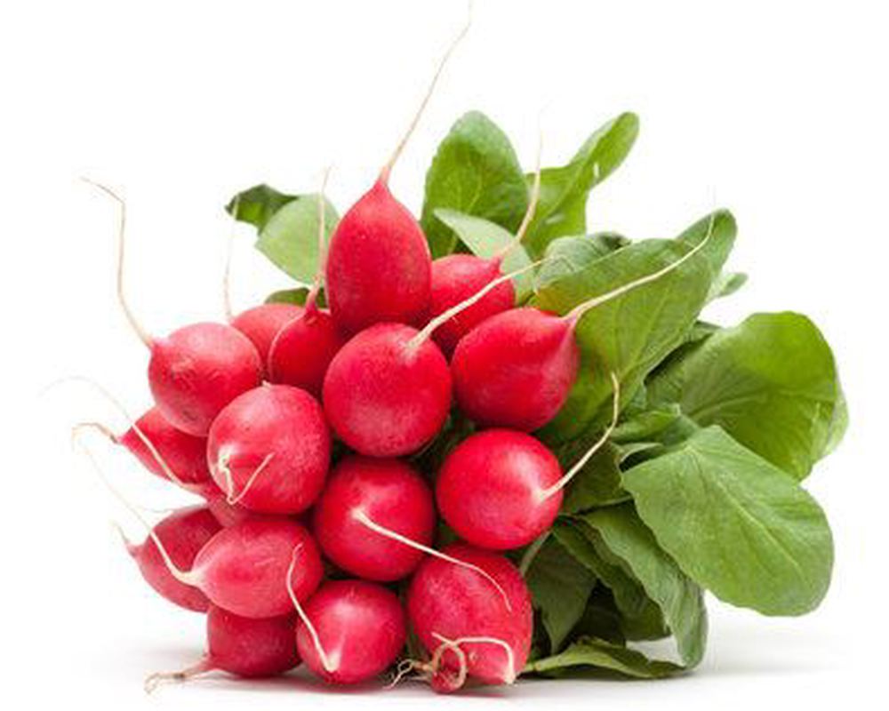 Radish Bunch