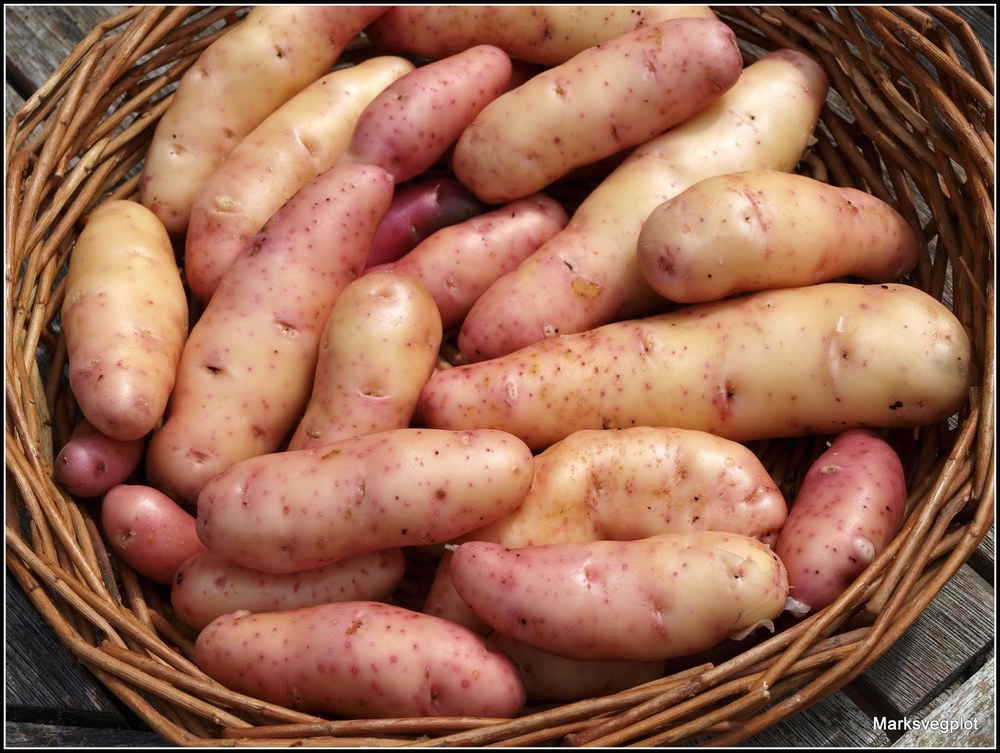 Potatoes - Pink Fir  500g