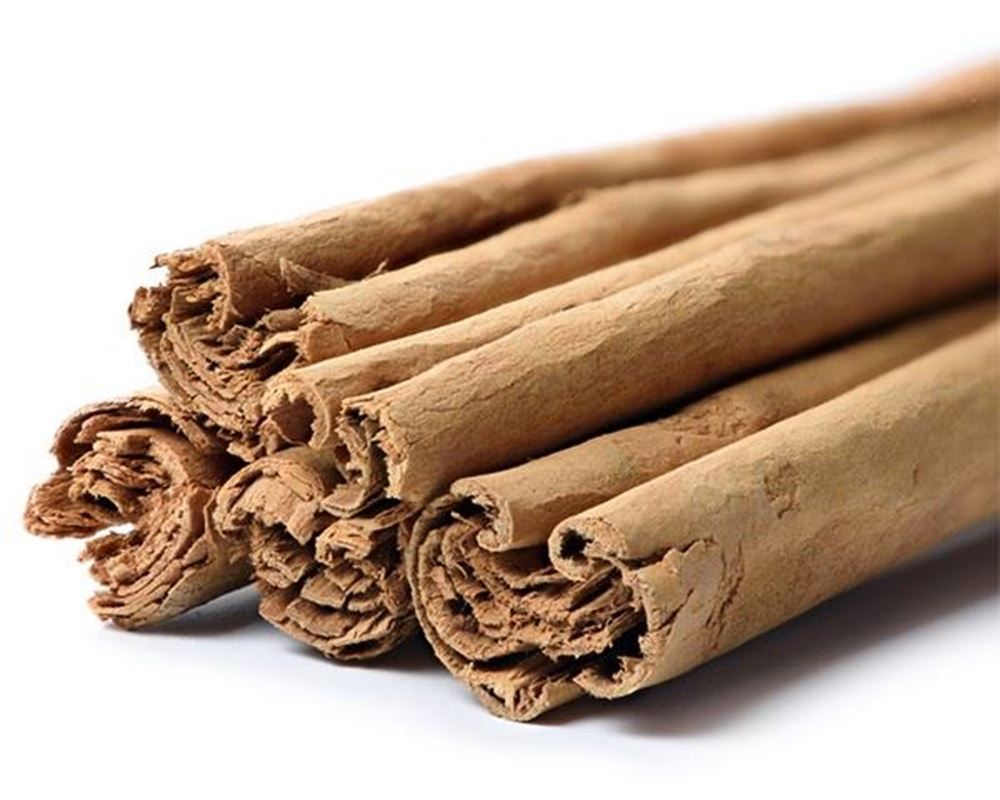 Cinnamon Organic: Quills - HG