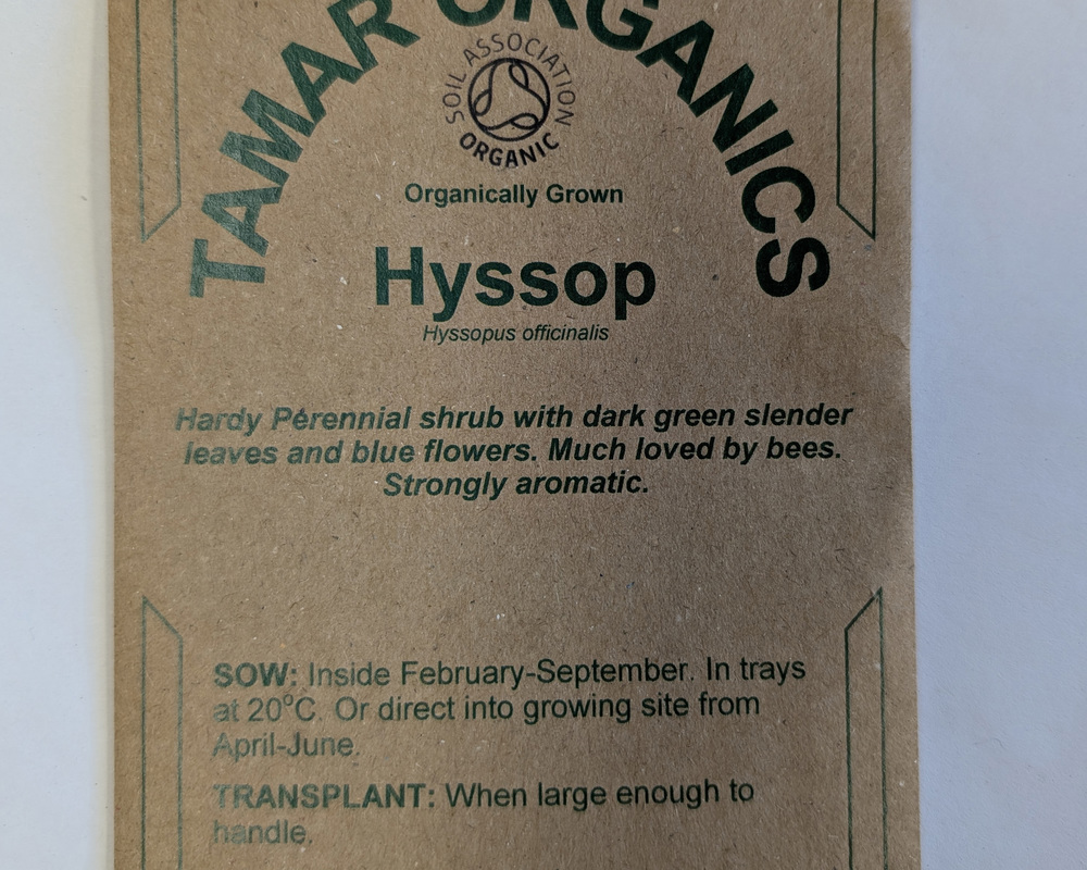 (Seeds) Hyssop