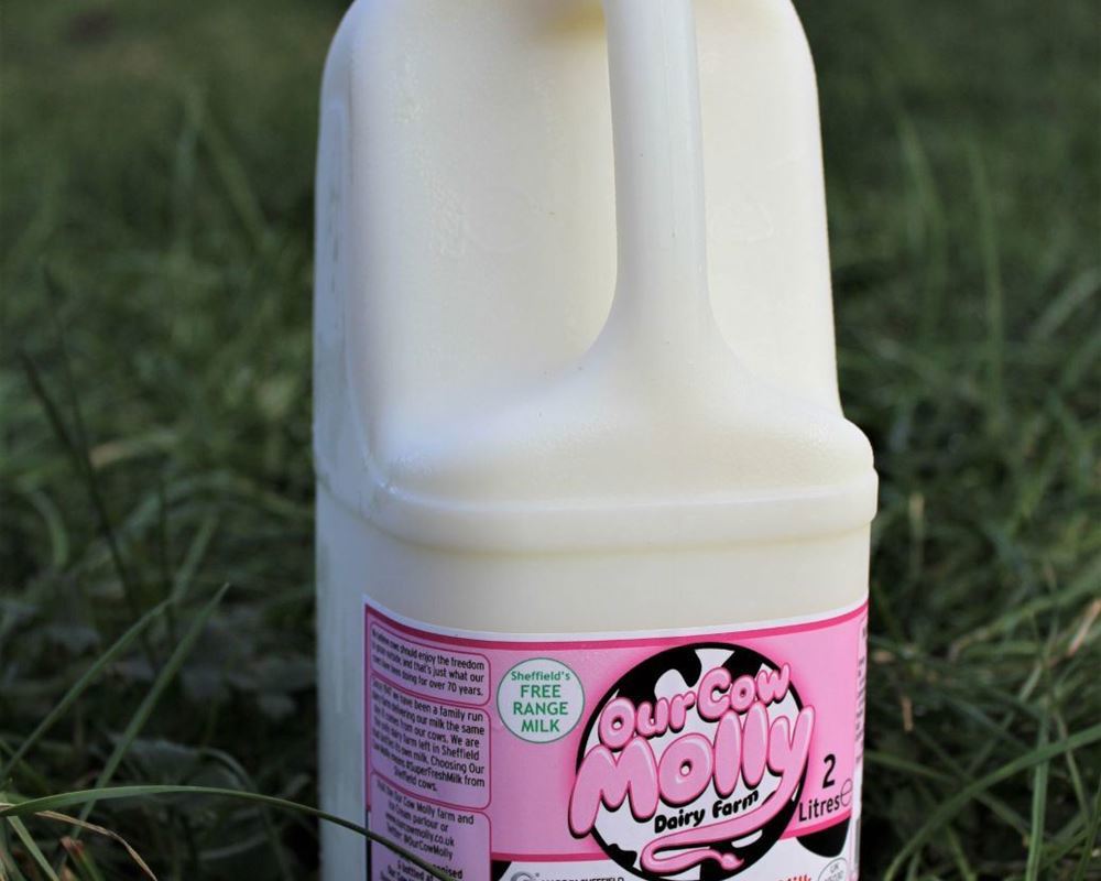 Our Cow Molly Skimmed Milk, 2L