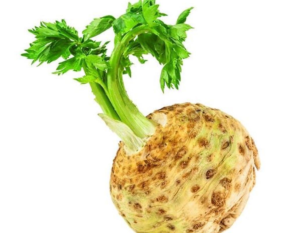 Organic Celeriac