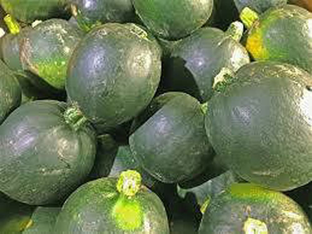 Squash - Organic British Gem