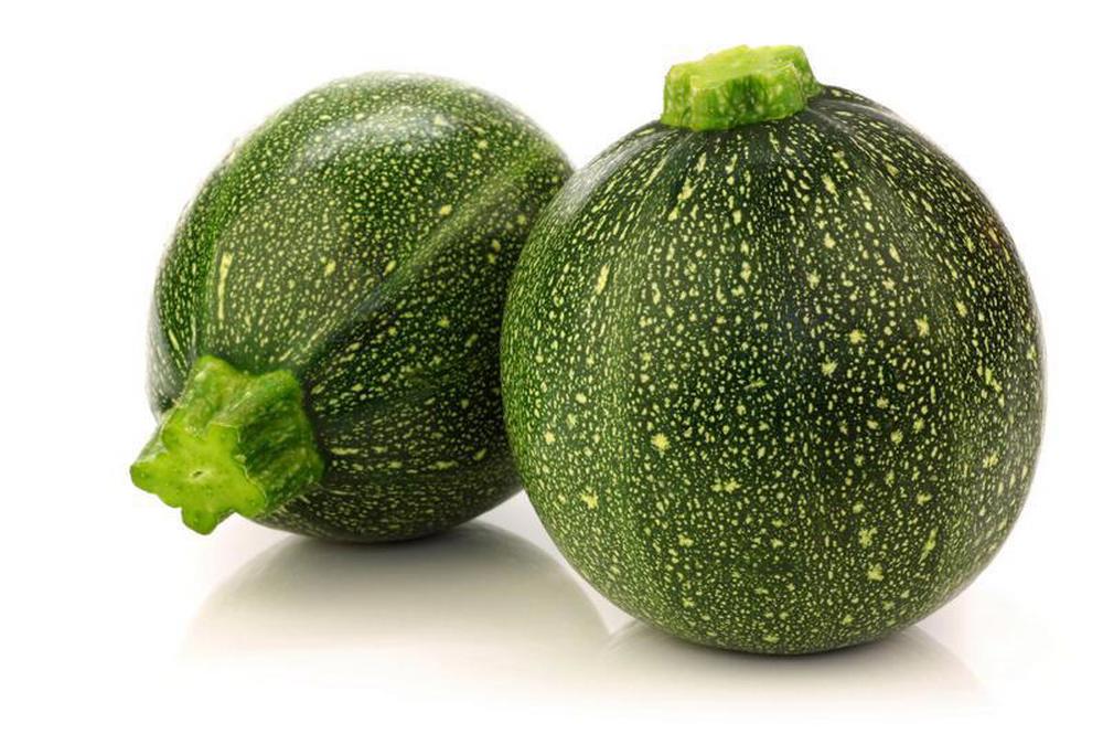 Squash- Gem