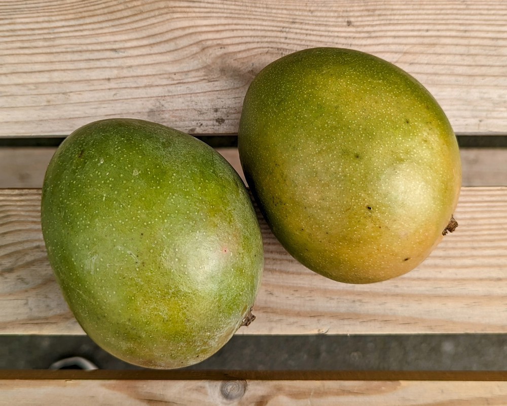 Mango