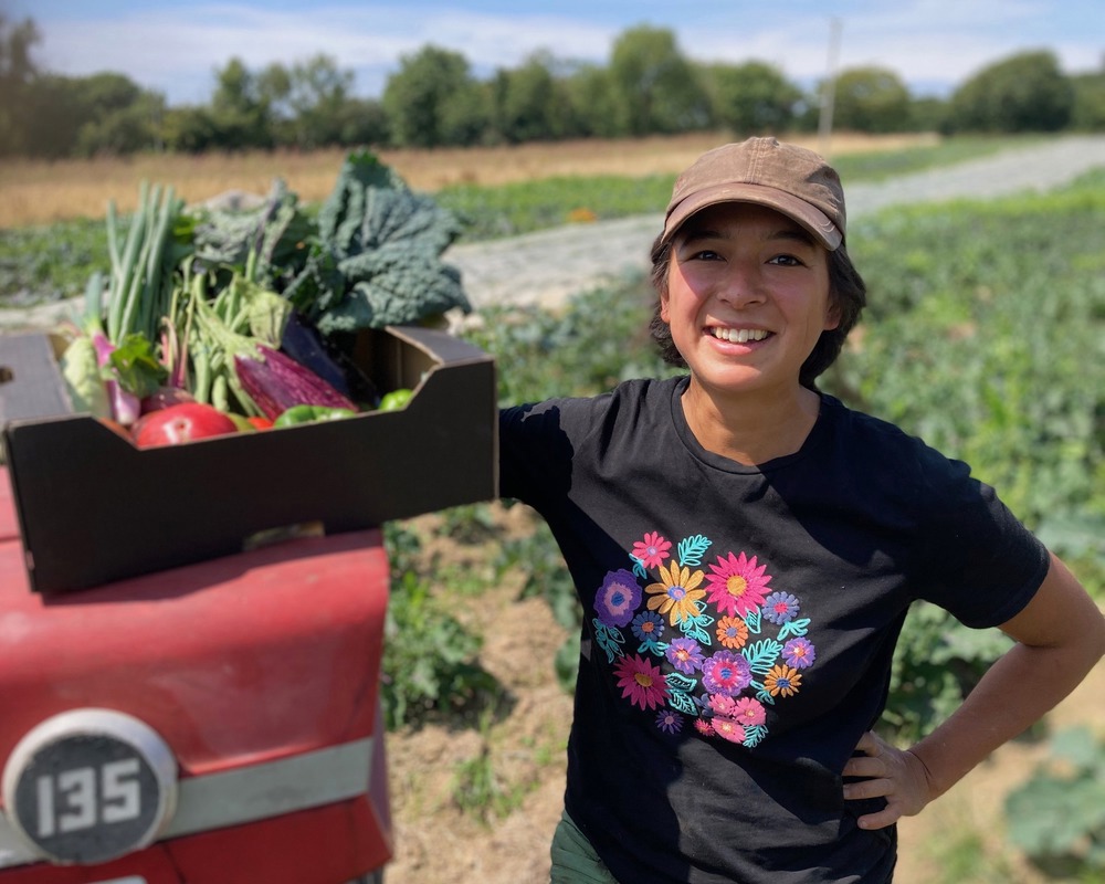 Small Veg Box