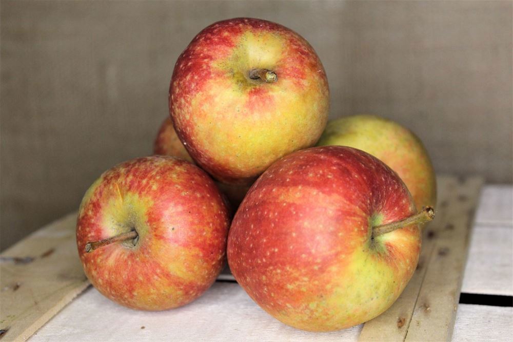 Organic Eating Apples 500g