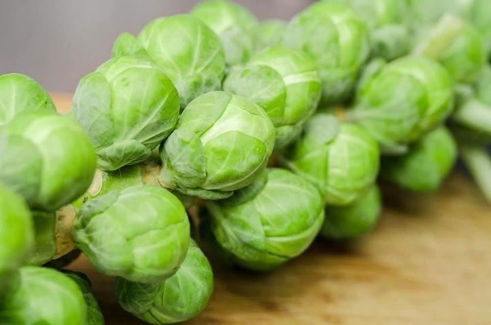 Extra Brussel Sprout Organic