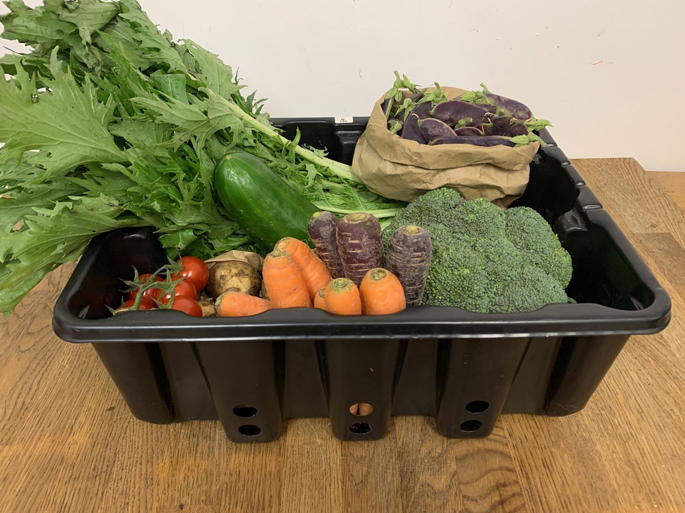 Veg Only Boxes