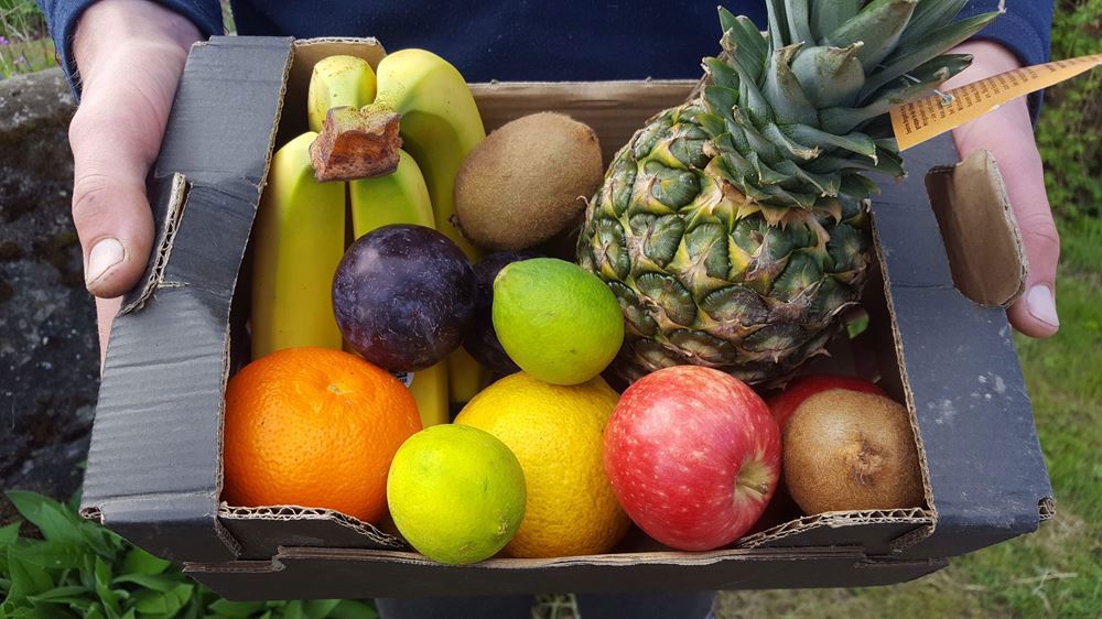 Large Organic Fruit Box