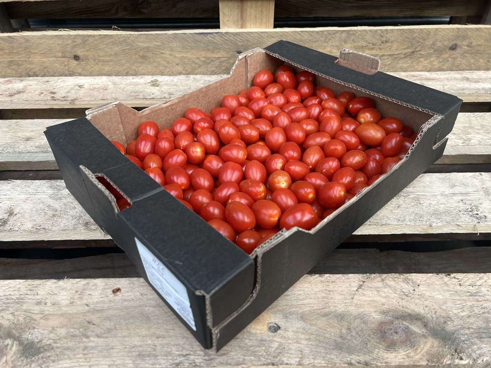 Organic Tomato Cherry Plum