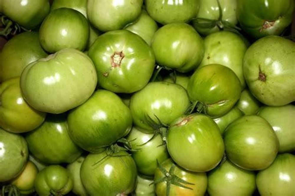 Green tomatoes